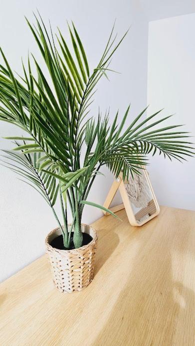 Apartament Boho Arenal Bol Con Parking Calpe Zewnętrze zdjęcie